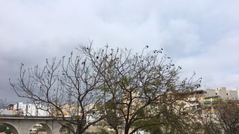 la vila nuboso