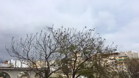 la vila nuboso la vila nuboso