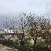 la vila nuboso la vila nuboso