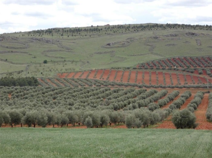 Izquierda Unida solicita a la Junta de Comunidades la protección del Cerro de la Cocinilla de Valdepeñas Izquierda Unida solicita a la Junta de Comunidades la protección del Cerro de la Cocinilla de Valdepeñas