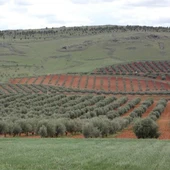 Imagen Cerro de la Cocinilla de Valdepeñas Imagen Cerro de la Cocinilla de Valdepeñas