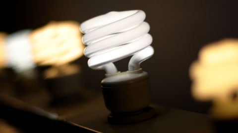 Bombillas encendidas con luz