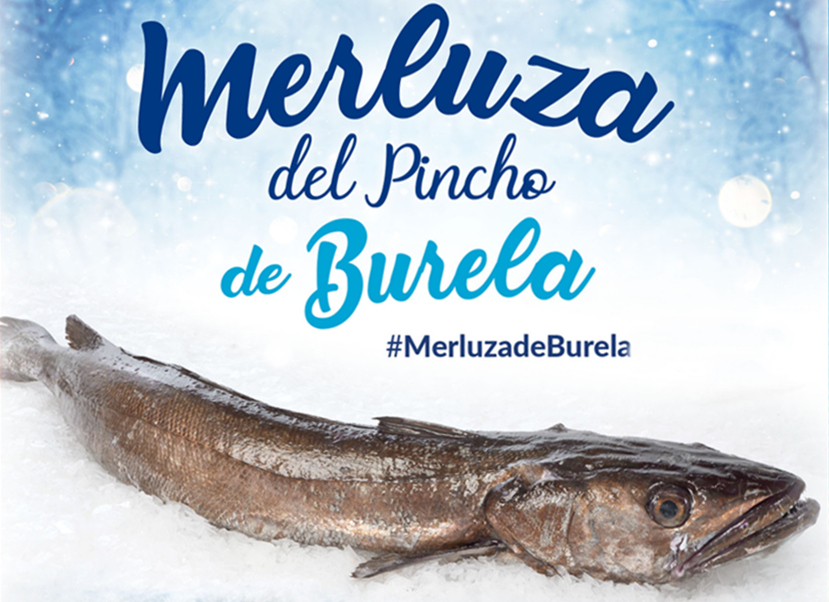 Las claves de cocinar merluza al vapor Las claves de cocinar merluza al vapor