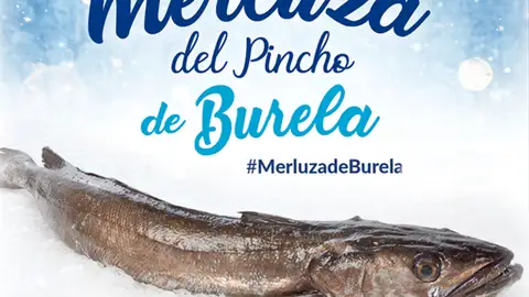 Merluza al vapor Se Nos Va la Olla