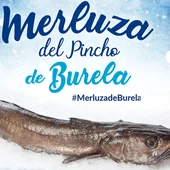 Merluza al vapor Merluza al vapor