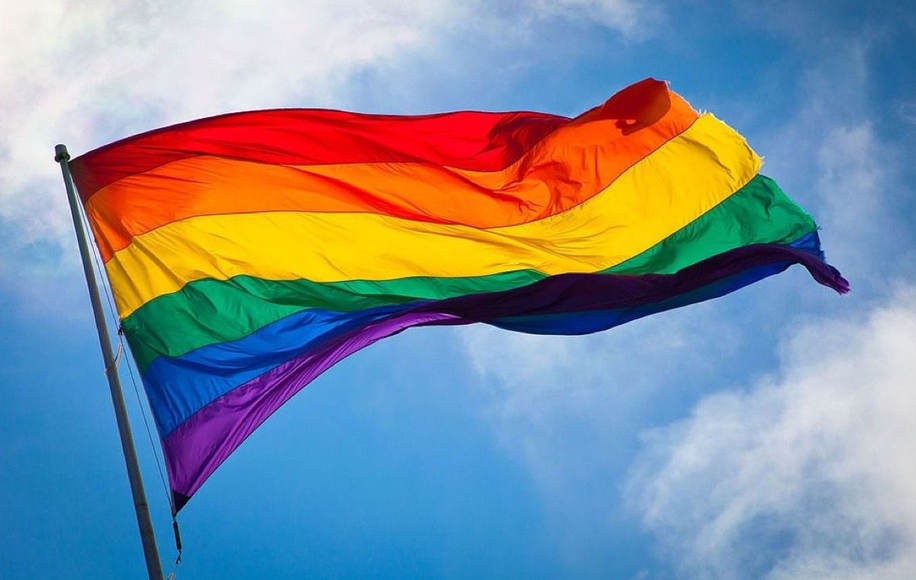 "No entendemos que una institución que nos considera animales esté dentro del Observatorio contra la discriminación por orientación sexual" "No entendemos que una institución que nos considera animales esté dentro del Observatorio contra la discriminación por orientación sexual"