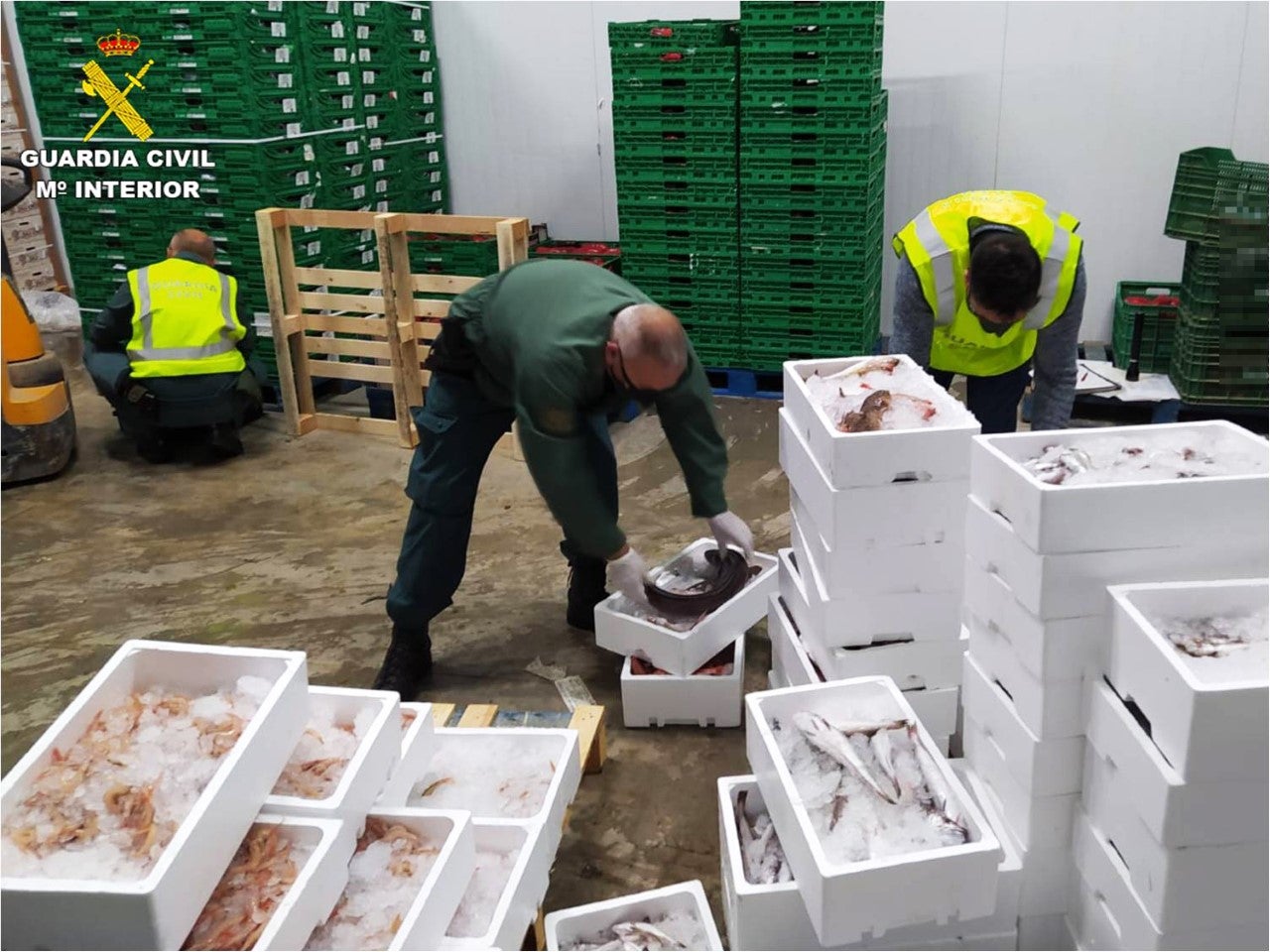 La Guardia Civil incauta más de 400 kilos de pescado trasportado de forma irregular con destino Madrid La Guardia Civil incauta más de 400 kilos de pescado trasportado de forma irregular con destino Madrid