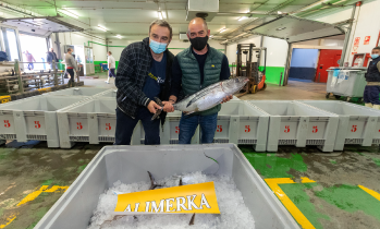 Alimerka dona el primer bonito de la temporada Alimerka dona el primer bonito de la temporada