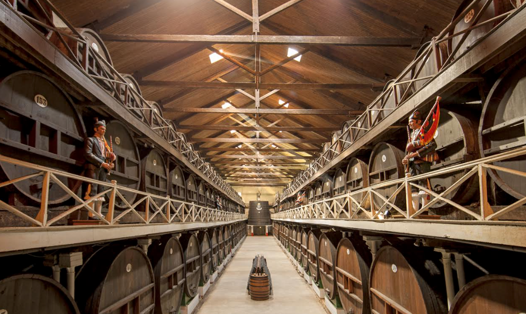 Este jueves vuelven las visitas guiadas a las Bodegas de El Gaitero en Villaviciosa Este jueves vuelven las visitas guiadas a las Bodegas de El Gaitero en Villaviciosa