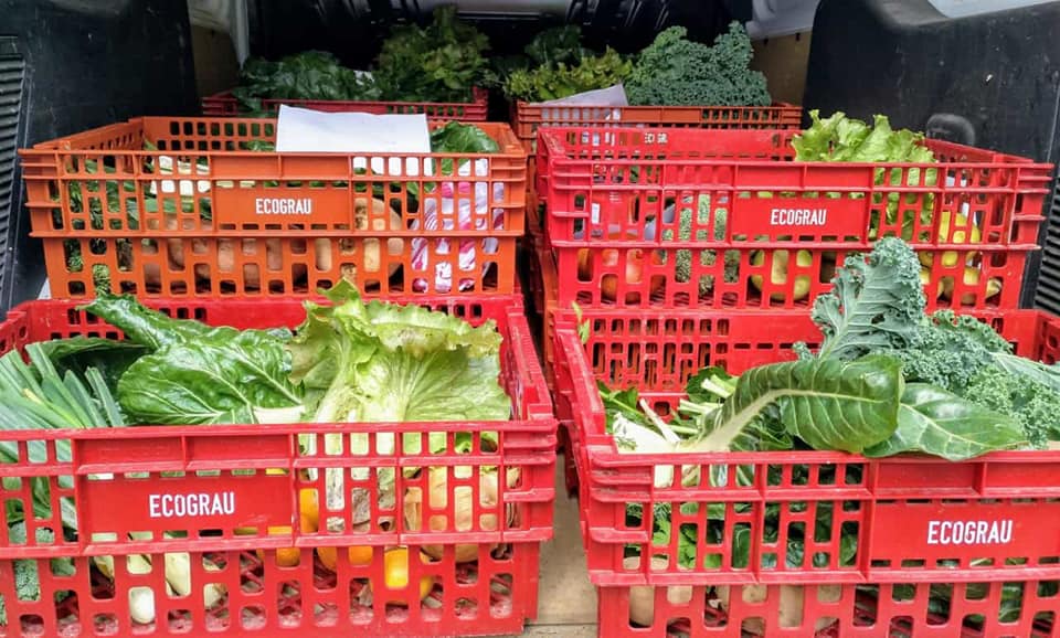 Ecograu Castelló pretende recuperar la huerta valenciana y el comercio de proximidad Ecograu Castelló pretende recuperar la huerta valenciana y el comercio de proximidad