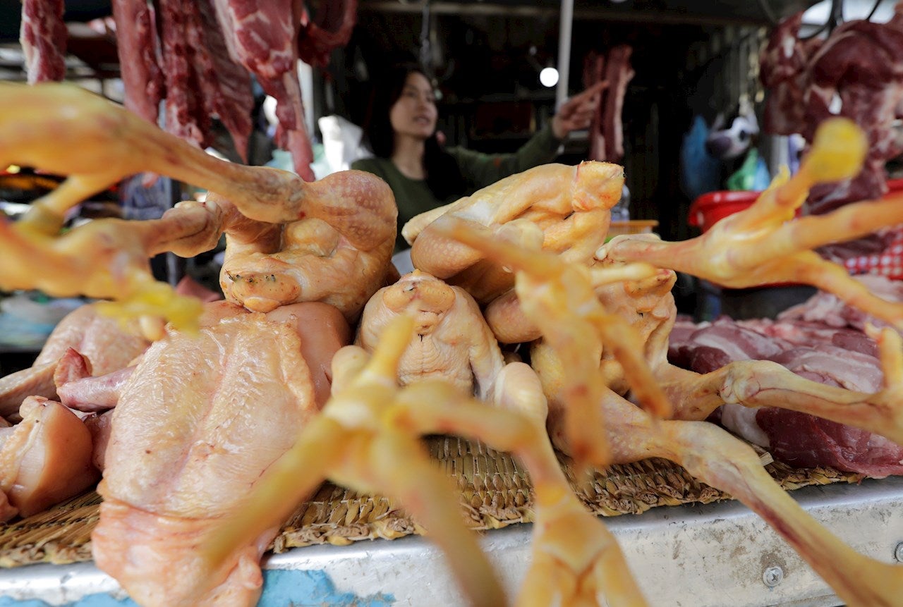 Detectado en China el primer caso mundial de gripe aviar H10N3 en humanos Detectado en China el primer caso mundial de gripe aviar H10N3 en humanos