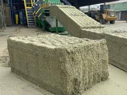 Mesa de redacción: España, campeona en alfalfa