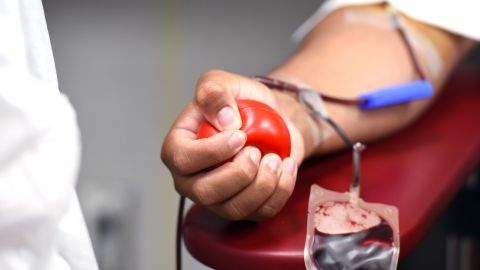 Donaci&oacute;n de sangre