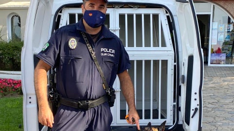 Unidad Canina Polic&iacute;a Local Marbella