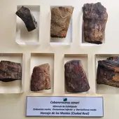 Museo Ciencias Naturales AVAN Museo Ciencias Naturales AVAN