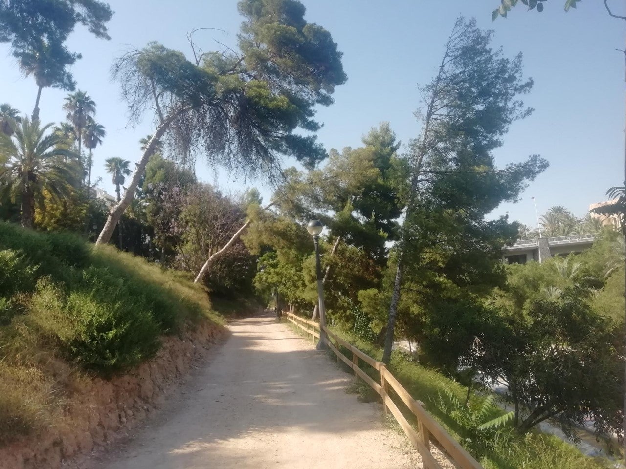 El final del verano comienza con sol y previsión de inestabilidad durante la semana en Elche, Crevillent y Santa Pola El final del verano comienza con sol y previsión de inestabilidad durante la semana en Elche, Crevillent y Santa Pola