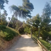Ladera del río Vinalopó en Elche. Ladera del río Vinalopó en Elche.