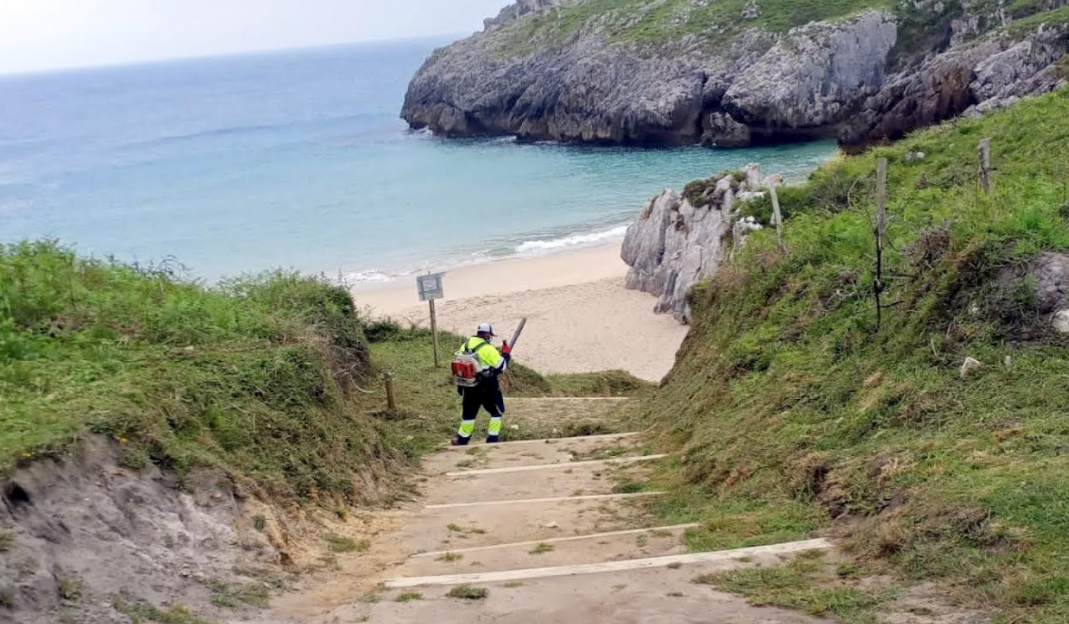 El Plan Municipal de Limpieza de Pueblos de Llanes interviene en Balmori y entorno playas El Plan Municipal de Limpieza de Pueblos de Llanes interviene en Balmori y entorno playas