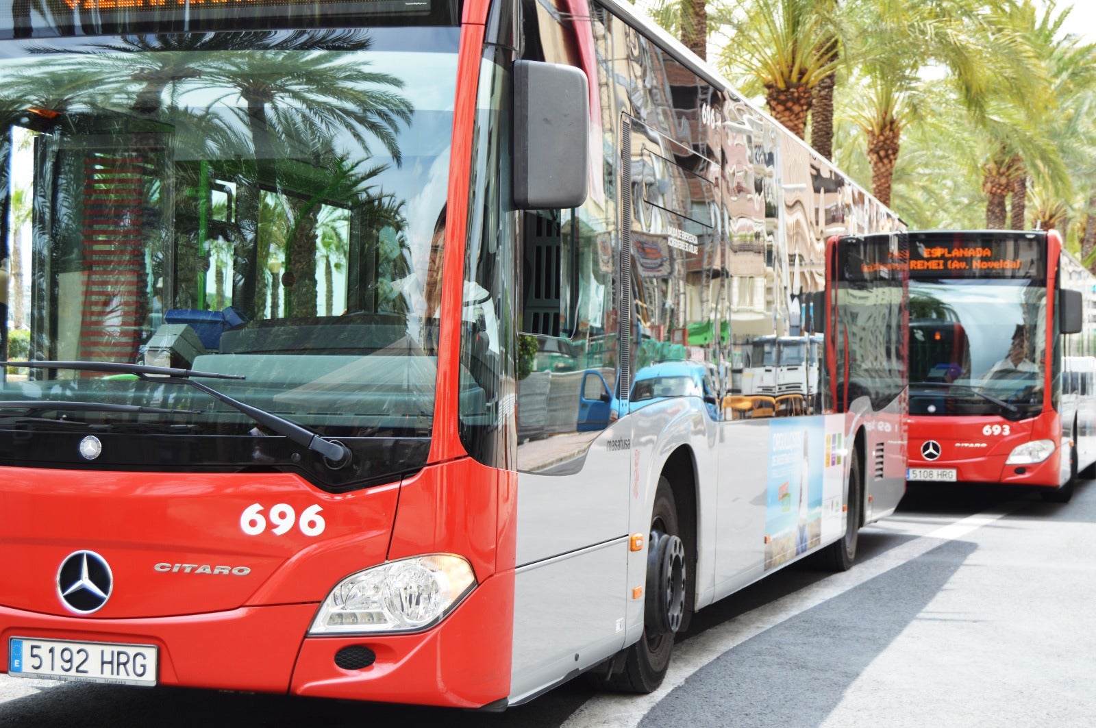Autobuses lanzadera cada cinco minutos entre Puerta del Mar y el Caserío de La Santa Faz de Alicante Autobuses lanzadera cada cinco minutos entre Puerta del Mar y el Caserío de La Santa Faz de Alicante