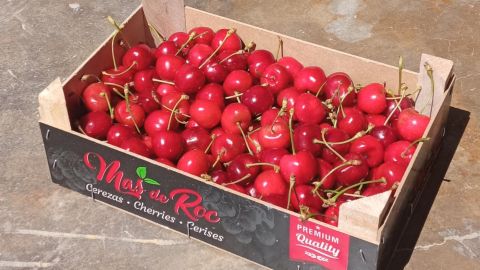 cerezas
