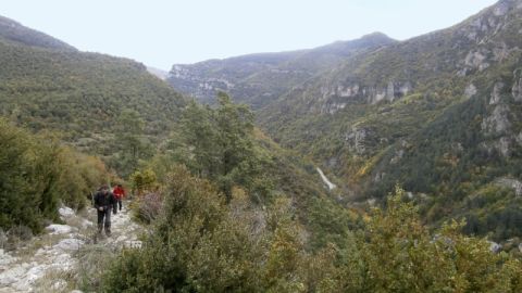 Tramo del Camino de Santiago Ar&aacute;n-Pirineos