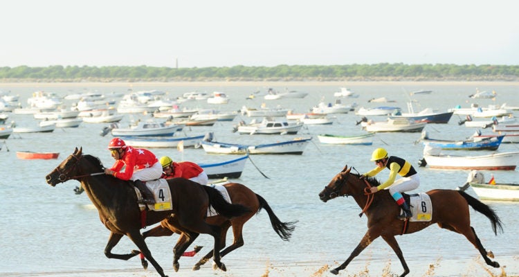 Los caballos volverían a correr en las playas de Sanlúcar en agosto Los caballos volverían a correr en las playas de Sanlúcar en agosto