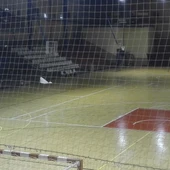 El cribado se ha realizado en el pabellón Puerta de Santa María El cribado se ha realizado en el pabellón Puerta de Santa María