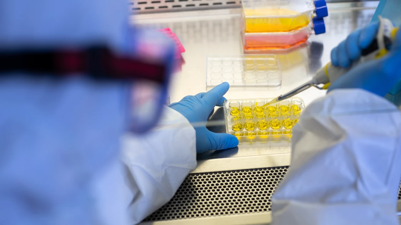 Investigadores científicos