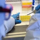Investigadores científicos Investigadores científicos