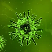 Siguen bajando los contagios en Euskadi. En las últimas horas se han detectado 125 nuevos positivos y el País Vasco se asoma al nivel 2 Siguen bajando los contagios en Euskadi. En las últimas horas se han detectado 125 nuevos positivos y el País Vasco se asoma al nivel 2