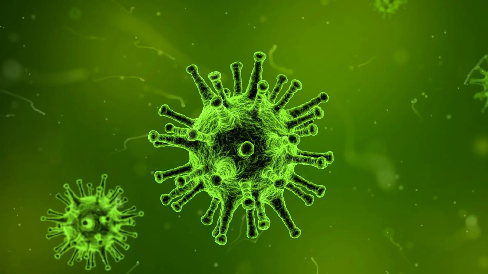 Siguen bajando los contagios en Euskadi. En las últimas horas se han detectado 125 nuevos positivos y el País Vasco se asoma al nivel 2 Siguen bajando los contagios en Euskadi. En las últimas horas se han detectado 125 nuevos positivos y el País Vasco se asoma al nivel 2