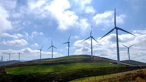 Para destacar la importancia del viento en la biodiversidad del planeta y su utilizaci&oacute;n en la generaci&oacute;n de energ&iacute;a e&oacute;lica 