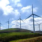 Para destacar la importancia del viento en la biodiversidad del planeta y su utilización en la generación de energía eólica Para destacar la importancia del viento en la biodiversidad del planeta y su utilización en la generación de energía eólica