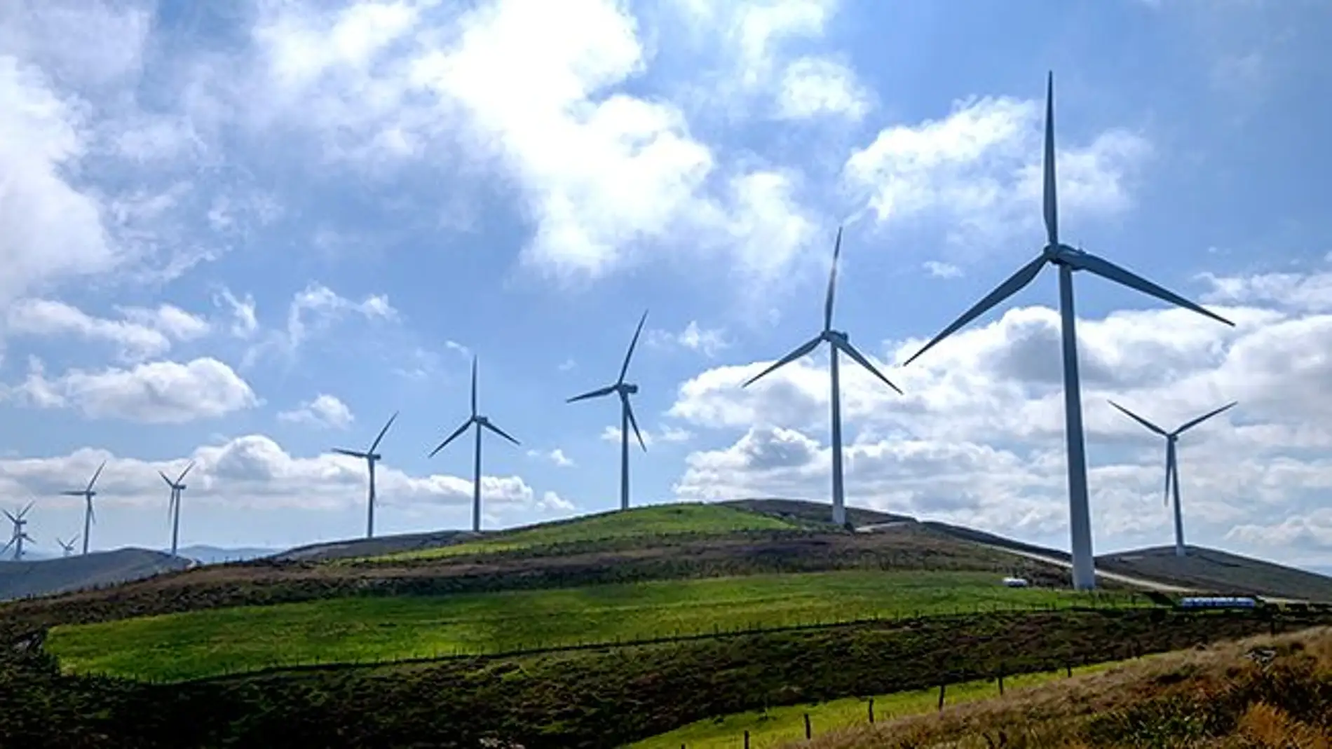 Para destacar la importancia del viento en la biodiversidad del planeta y su utilización en la generación de energía eólica 