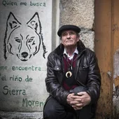 el niño lobo el niño lobo