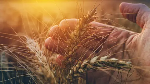 Agricultores contra el cambio climático Agricultores contra el cambio climático