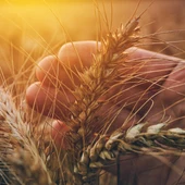 Agricultores contra el cambio climático Agricultores contra el cambio climático
