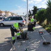 Infraestructuras refuerza el desbroce y la limpieza de calles de Orihuela Costa 