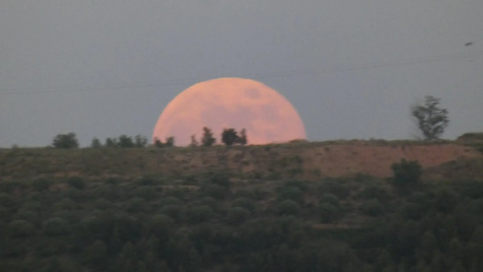 Luna de fresa hoy: a qué hora es y dónde se puede ver en España la superluna