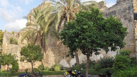 Castillo de Marbella