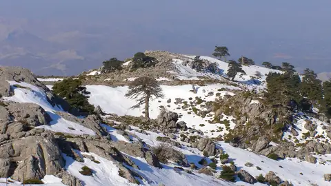Sierra de las Nieves Sierra de las Nieves