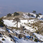 Sierra de las Nieves Sierra de las Nieves