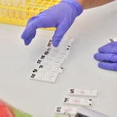 Un sanitario durante unas pruebas de tests de antígenos Un sanitario durante unas pruebas de tests de antígenos