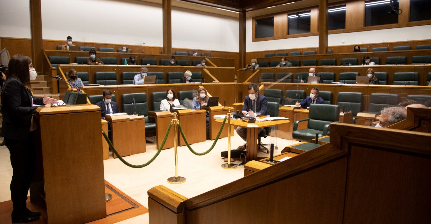 El parlamento vasco aprueba la ley que busca garantías jurídicas en la gestión de la pandemia El parlamento vasco aprueba la ley que busca garantías jurídicas en la gestión de la pandemia