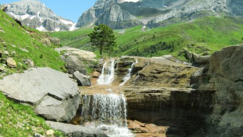 Naturaleza en el Pirineo