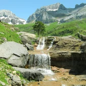 Naturaleza en el Pirineo Naturaleza en el Pirineo
