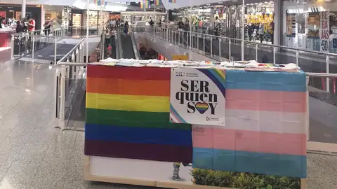 Día del orgullo Día del orgullo