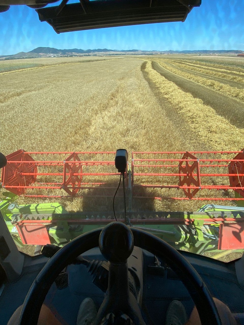 Cazadores y agricultores enfrentados por el jabalí Cazadores y agricultores enfrentados por el jabalí