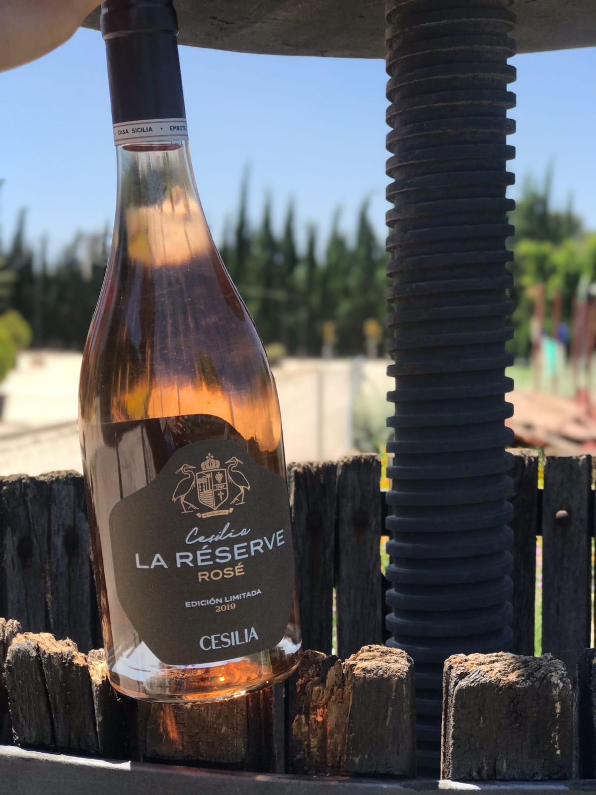 Cesilia Rosé La Reserve, galardonado en los Premios Bacchus 2021 Cesilia Rosé La Reserve, galardonado en los Premios Bacchus 2021