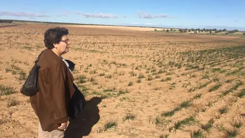 Domin Villarejo Domin Villarejo